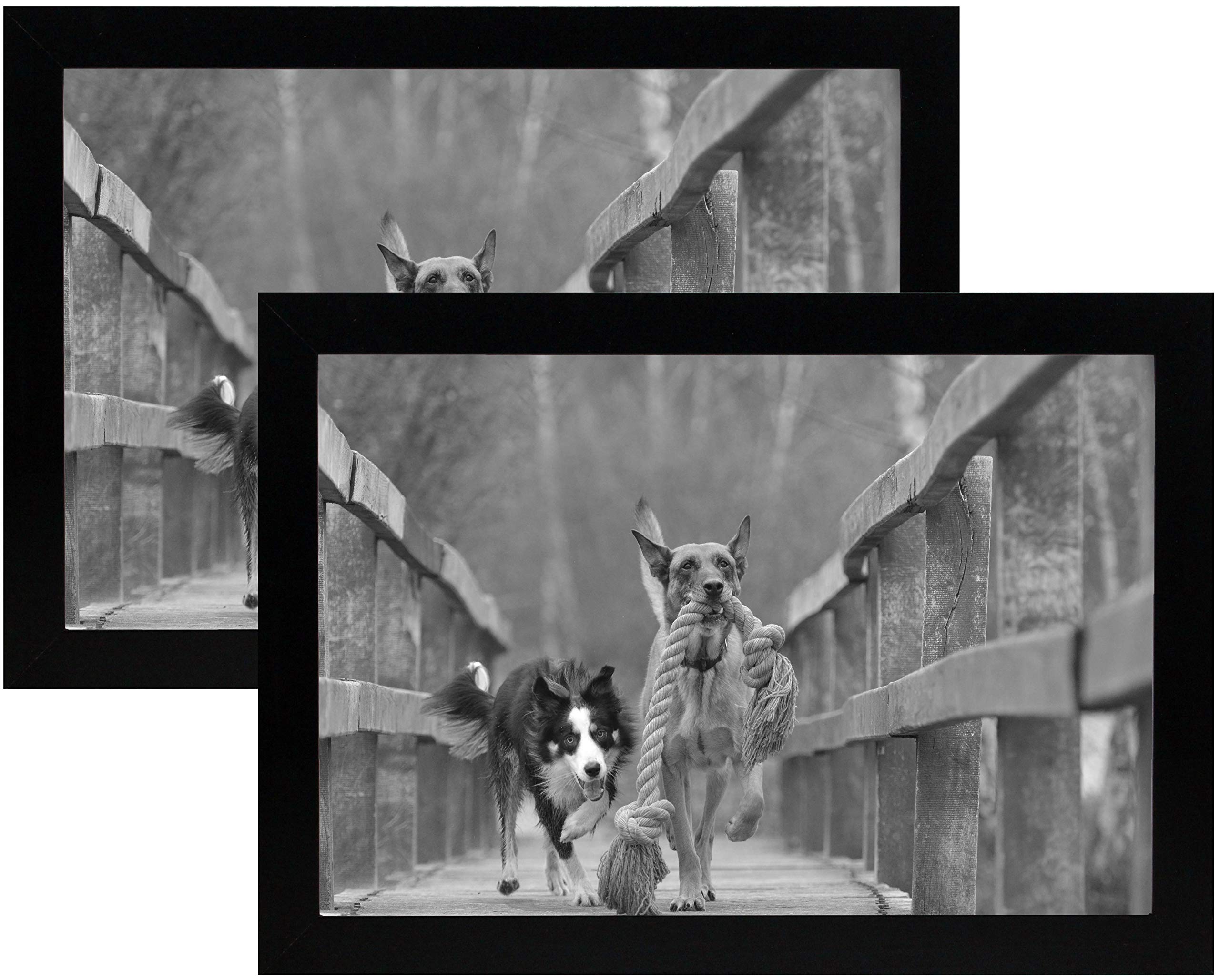 8x12 Black Gallery Picture Frame 2-Pack - Wide Molding - Includes Both Attached Hanging Hardware and Desktop Easel - Display Pictures 8 x 12 Inches - Eight by Twelve - Two Frames