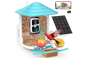 Netvue Smart Bird Feeder with Camera
