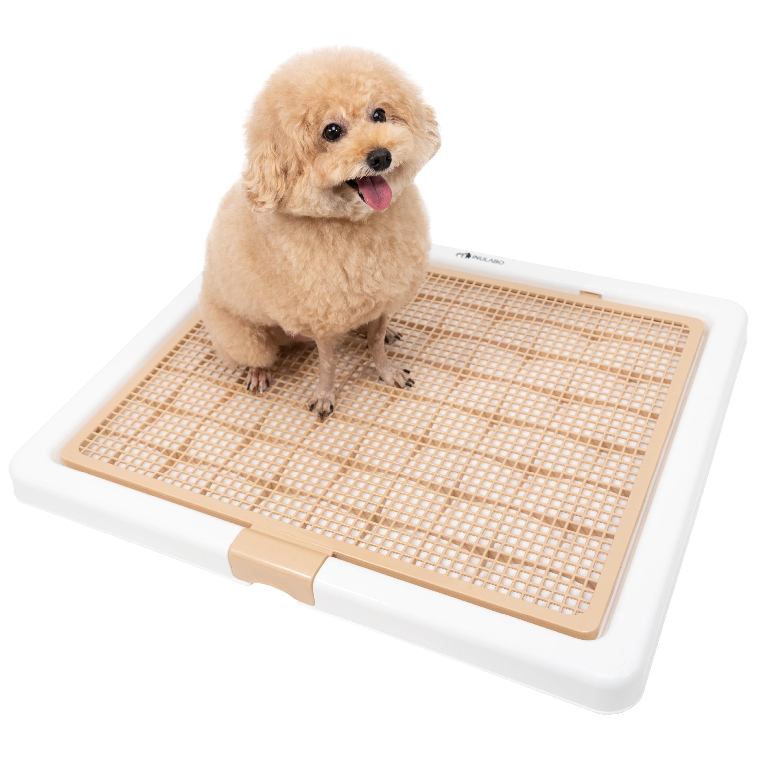 Amazon | INULABO(イヌラボ) 犬 トイレ トレー 高床式 大型犬 中型犬