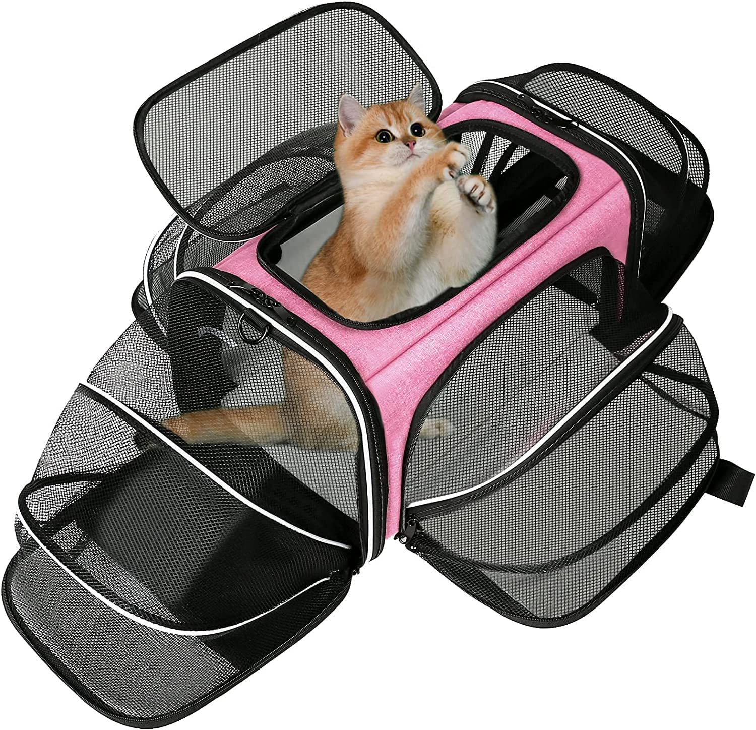 Estarer Soft Sided Pet Carrier Airline Approved for Small Medium Cat Dog,Puppy Car Seat Travel Bag Expandable with Removable Fleece Pad (19.3"x 11"x 11", Pink)