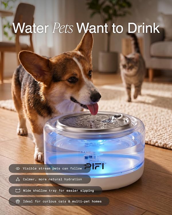 PiFi Glass Cat & Dog Water Fountain & Stainless Steel Drinking Tray, 4L by PiFi - Used condition - Image 6