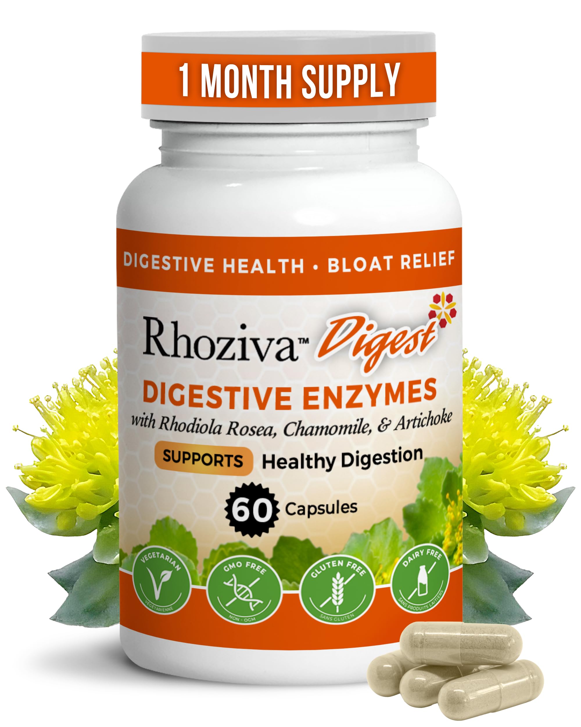 Rhoziva Suplemento de Multi-enzimas com Probióticos, Prebióticos e Rhodiola rosea — 60 cápsulas