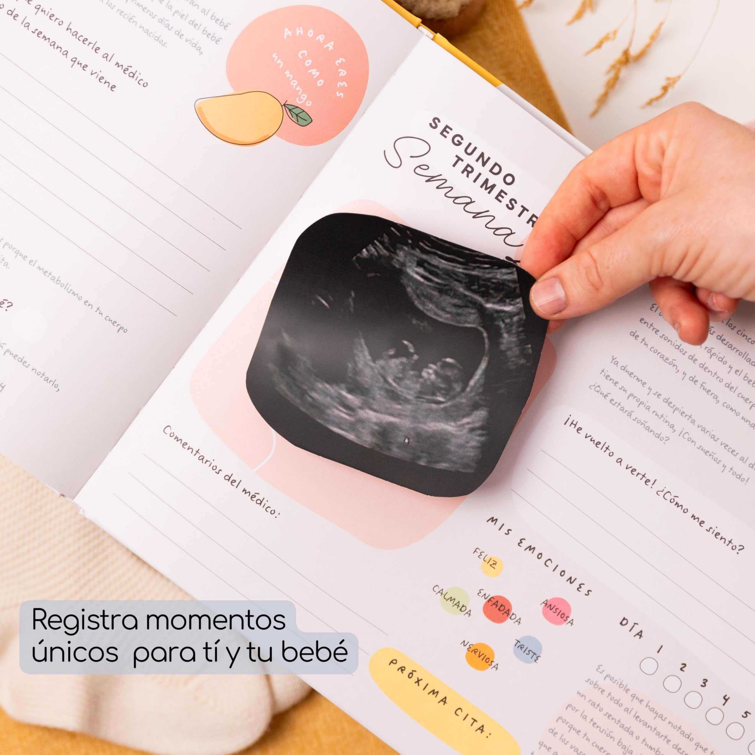 Diario e Albumm di gravidanza 9 mesi - Il mio diario di gravidanza, la nostra storia - regalo per future mamme - libro di gravidanza per salvare foto e ricordi - include pagine con adesivi