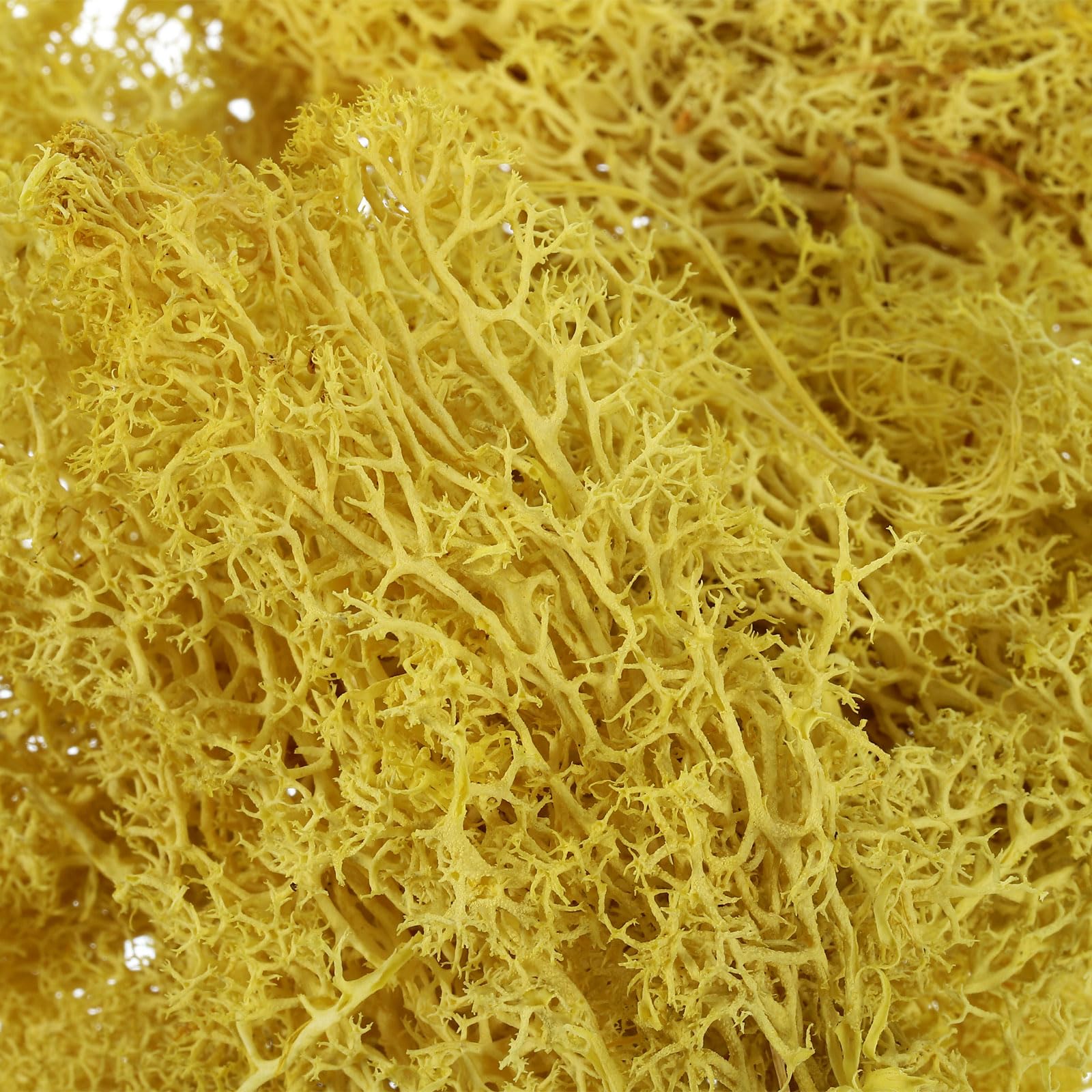 PATIKIL 7 OZ Fake Moss - Image 4