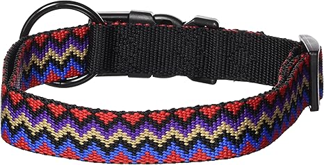 hamilton dog collars amazon