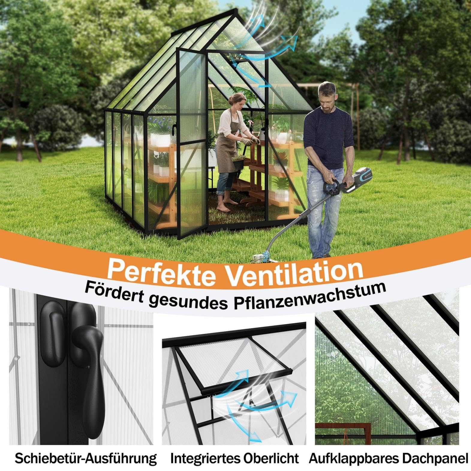 Aluminium Gewächshaus 6x8FT mit Fundamentrahmen & Belüftungsfenster, robustes Tomatenhaus wetterfest & rostfrei ideales Pflanzen- und Gemüsehaus für ganzjährige Anzucht Treibhaus 230x180x195cm