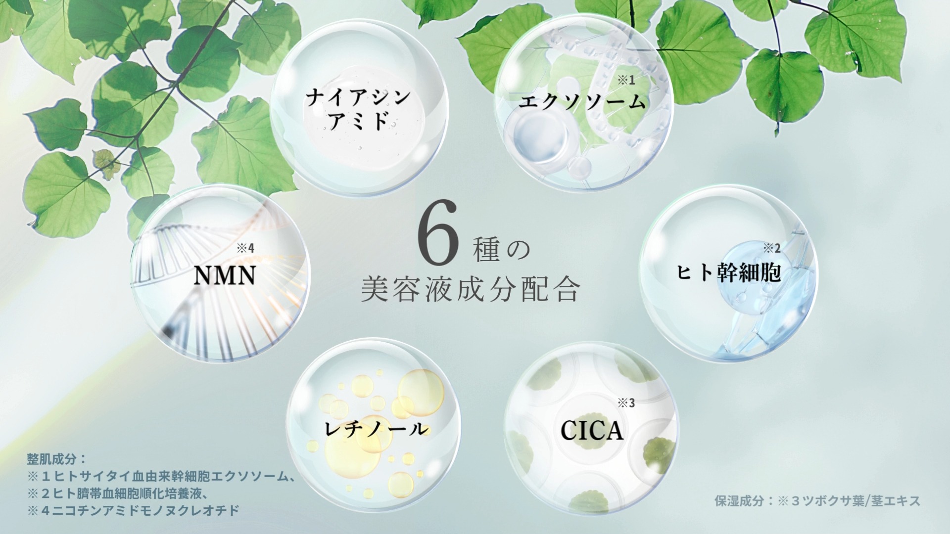 Amazon | idio 北海道シカローション 皮膚科医が大注目のヒト幹細胞