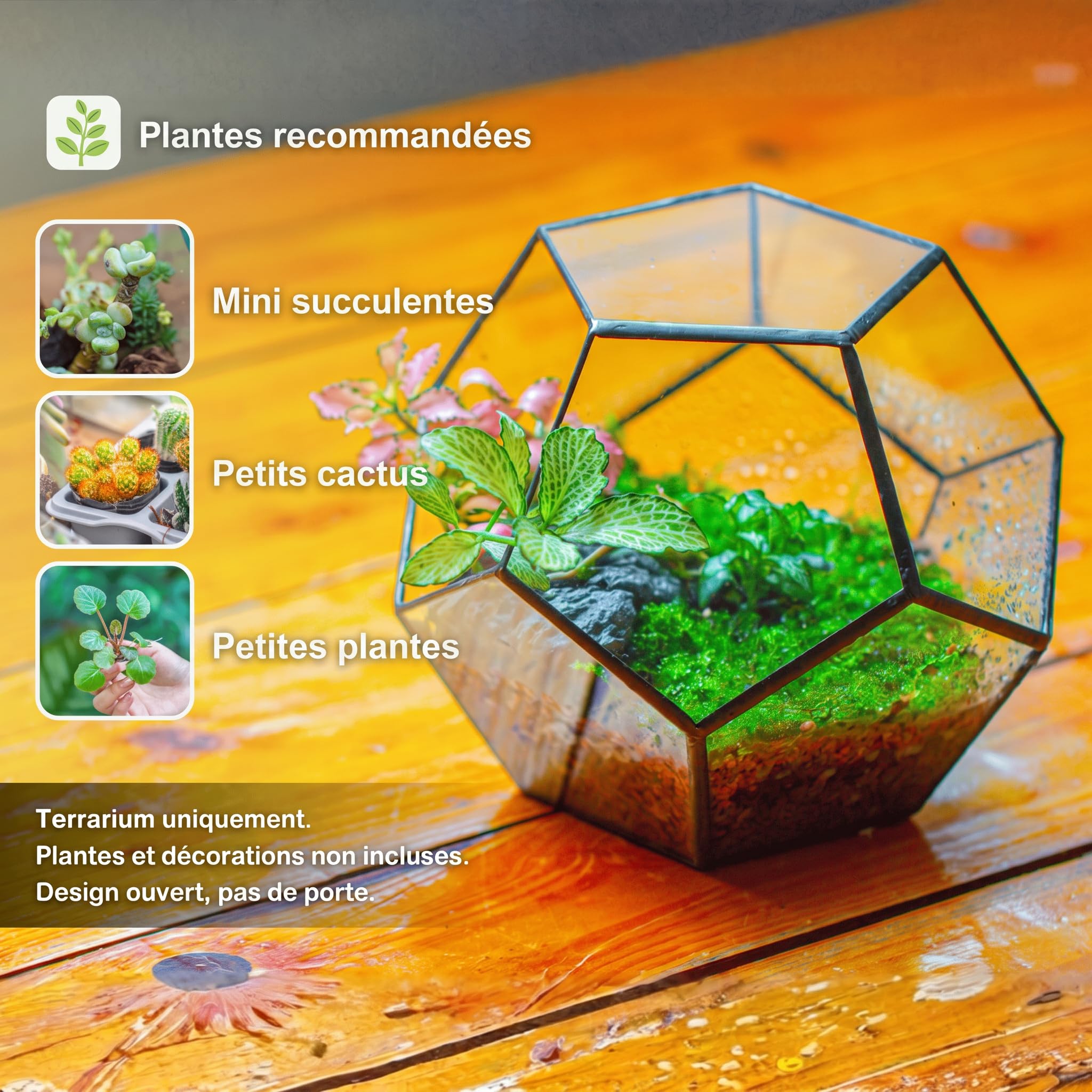 NCYP Noire Géométrique Terrarium en Forme de dodécaèdre et plaques Transparent de Verre pentagonales pour Plante (Pas de Plantes)