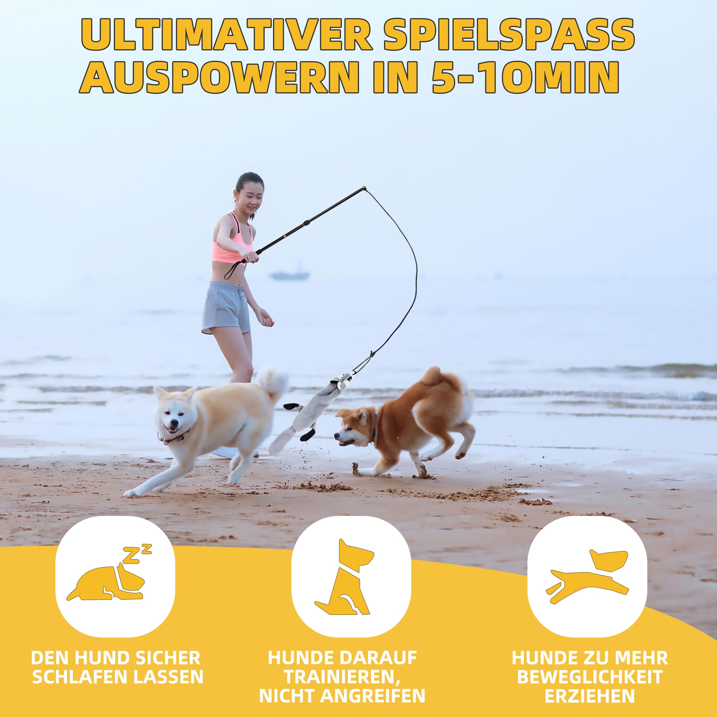 Reizangel Hunde, Profi Reizangel für Kleine, Mittelgroßer, Große Hunde für Ultimativen Spielspaß & Körperliche Auslastung （Seilstreifen + Biber）