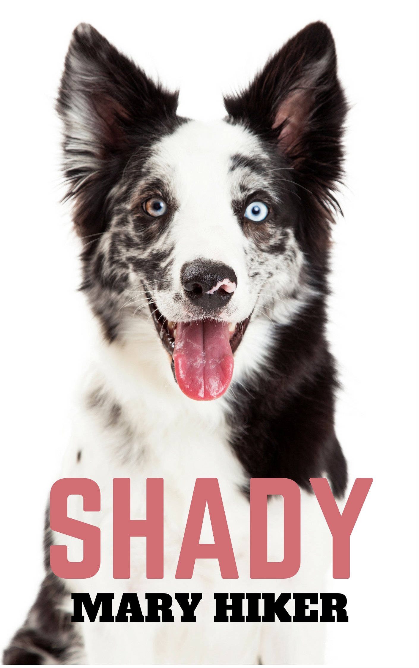 Shady (Shady Springs Dog Mysteries Book 1)