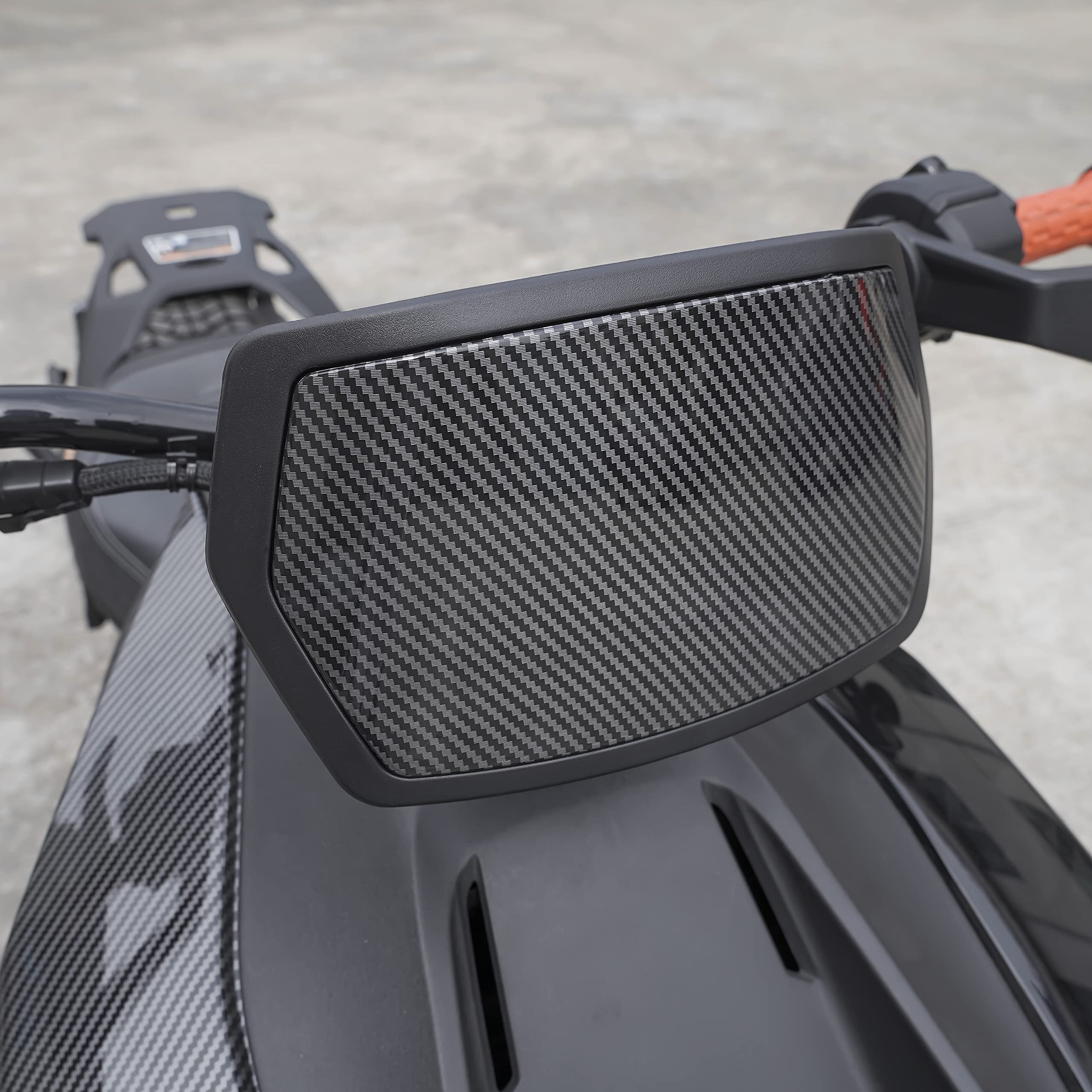 SAUTVS Aileron de jauge en Plastique et Fibre de Carbone pour Tous Les modèles Can-Am Ryker (1 pièce, pièce de Rechange #219400818)