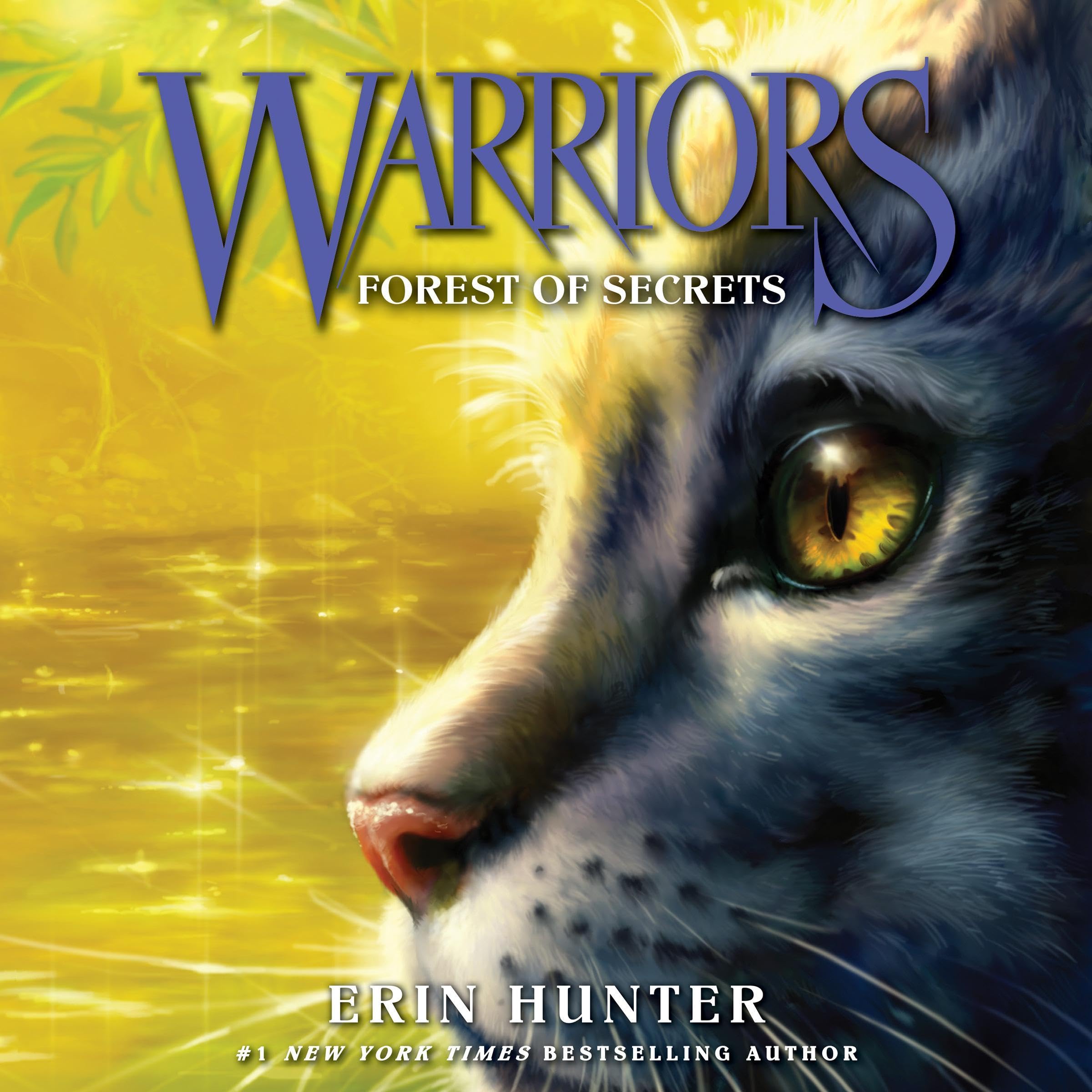 Cover art for Forest of Secrets