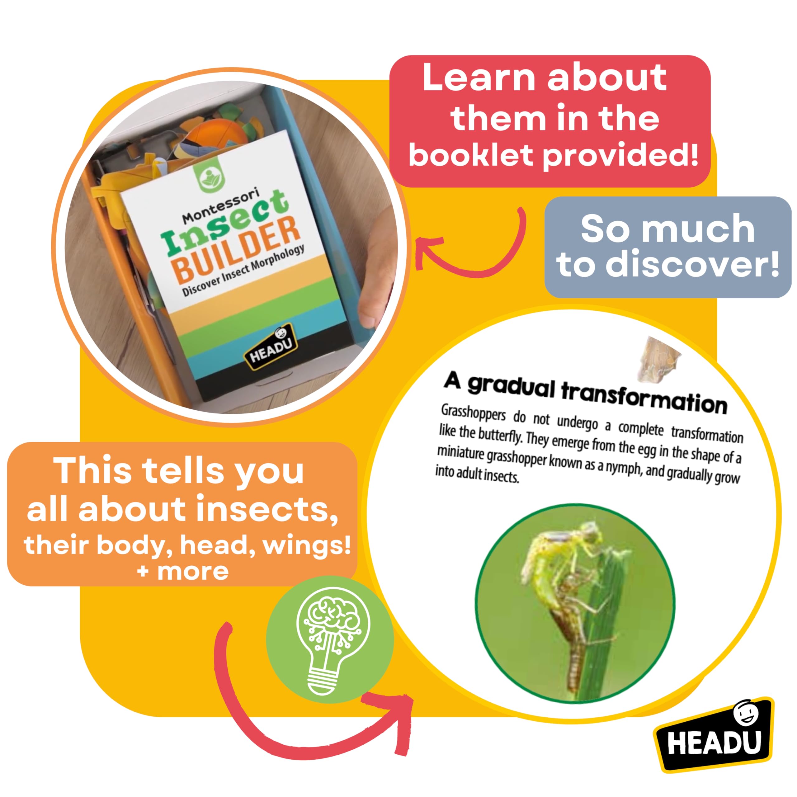 Headu Insect Builder Educational Toy - STEM Learning Game For Kids Ages 5-8 Years