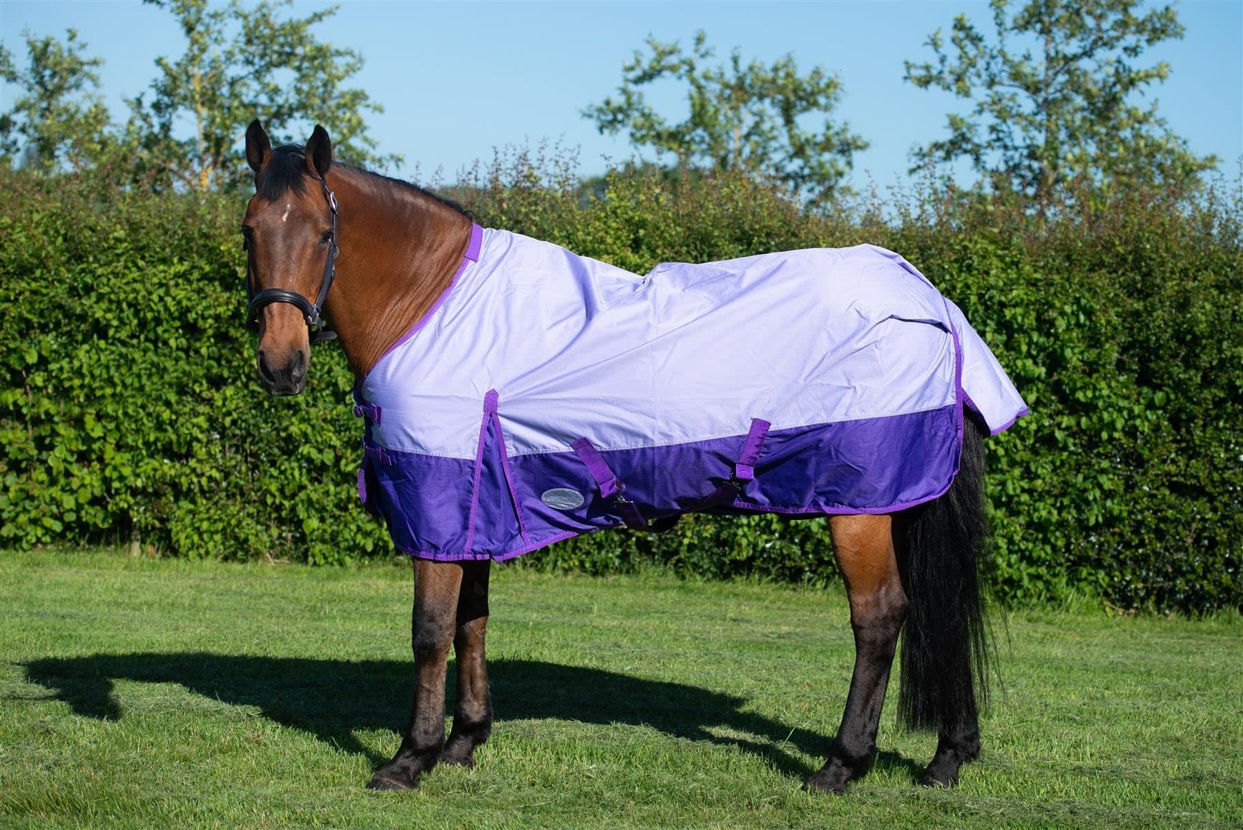 Equitack 600D Turnout Rug for Horses with Standard Neck, 6’6” | 50g Lightweight Winter Horse Rug | Waterproof Outdoor Horse Turnout Rug with Nylon Lining & Adjustable Leg Straps | Lavender/Purple