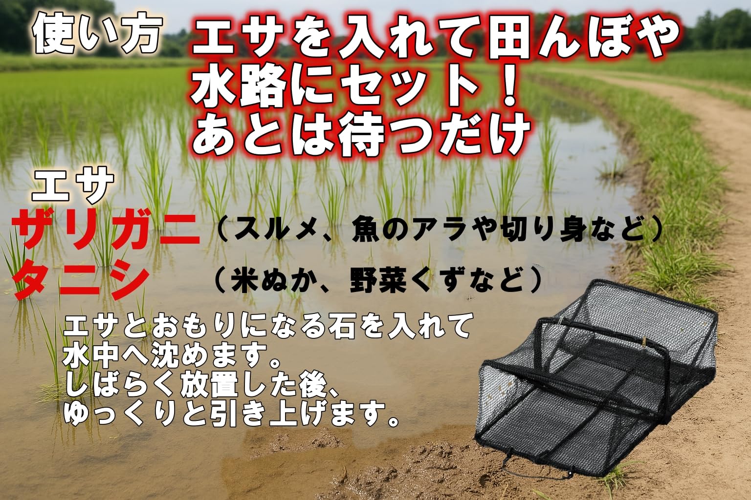 タニシ　ありがとうございます！ Amazon | エーワン ザリガニ・タニシ全員集合！折りたたみ式