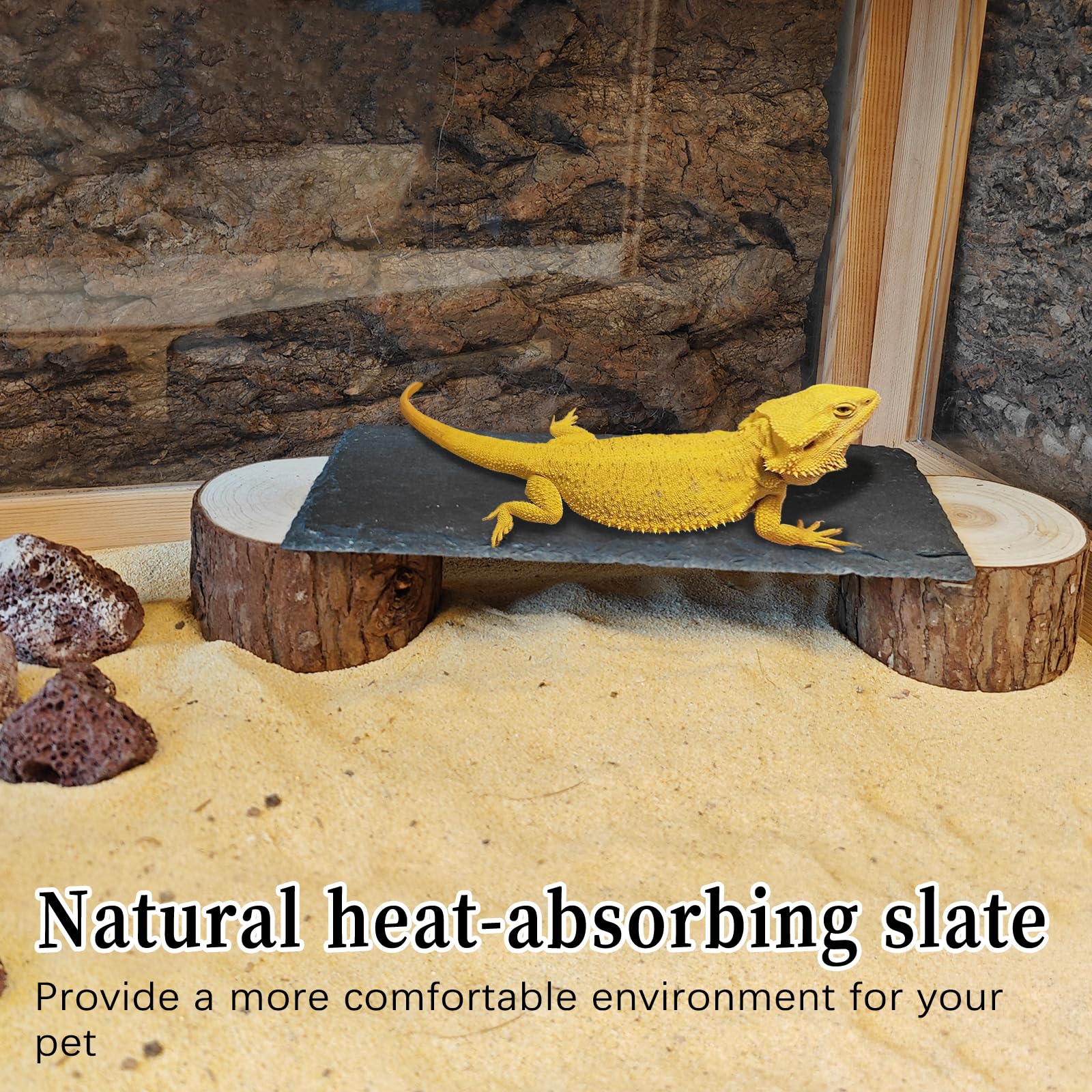 Plataforma de dragón Barbudo con Pelo de Madera, Cueva escondite de Reptiles, Roca Tomando el Sol, decoración de hábitat de terrario, Accesorios de Tanque para Tortuga, lagartos, Serpientes