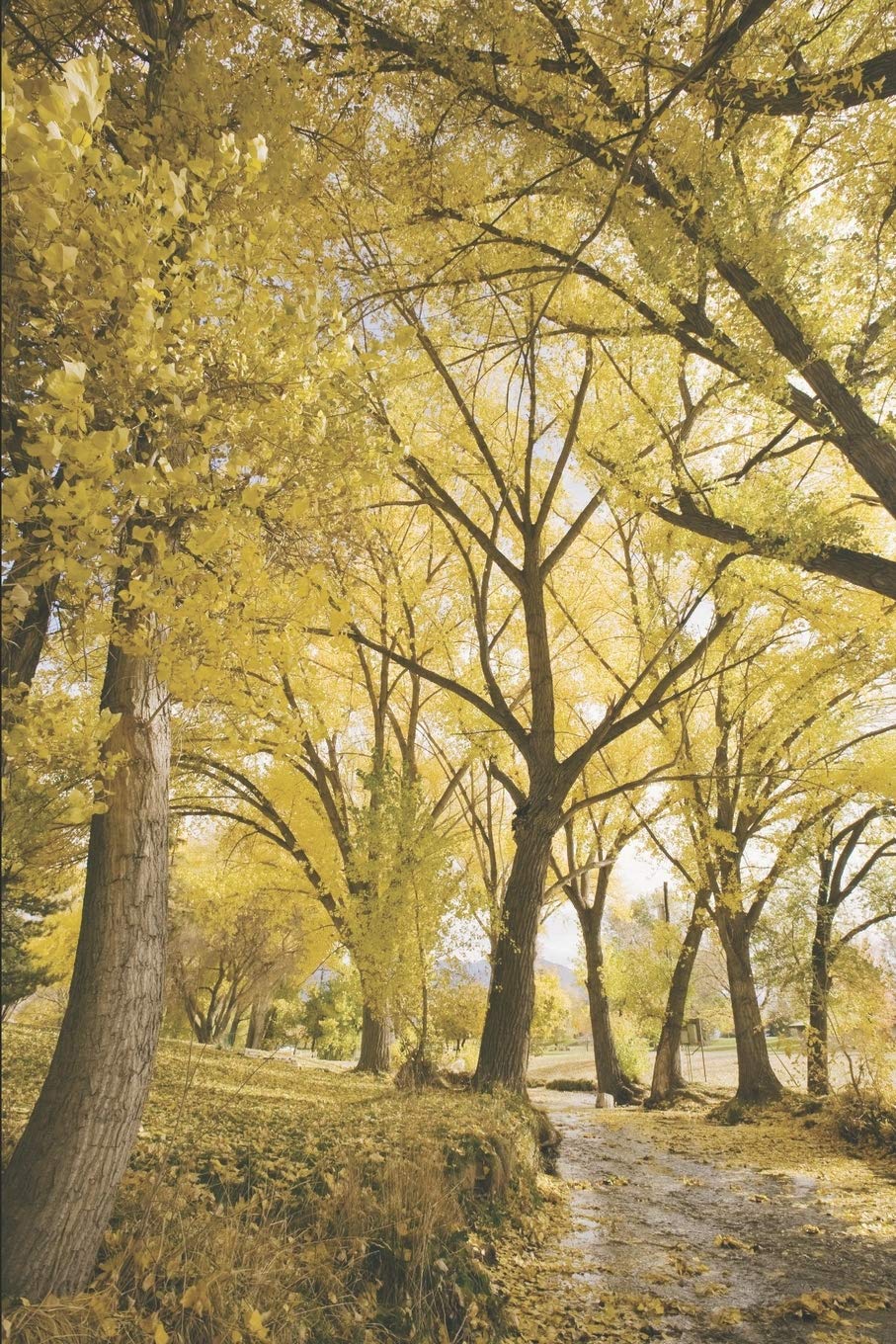 A Relationship called Love... (Ekta's emotions)