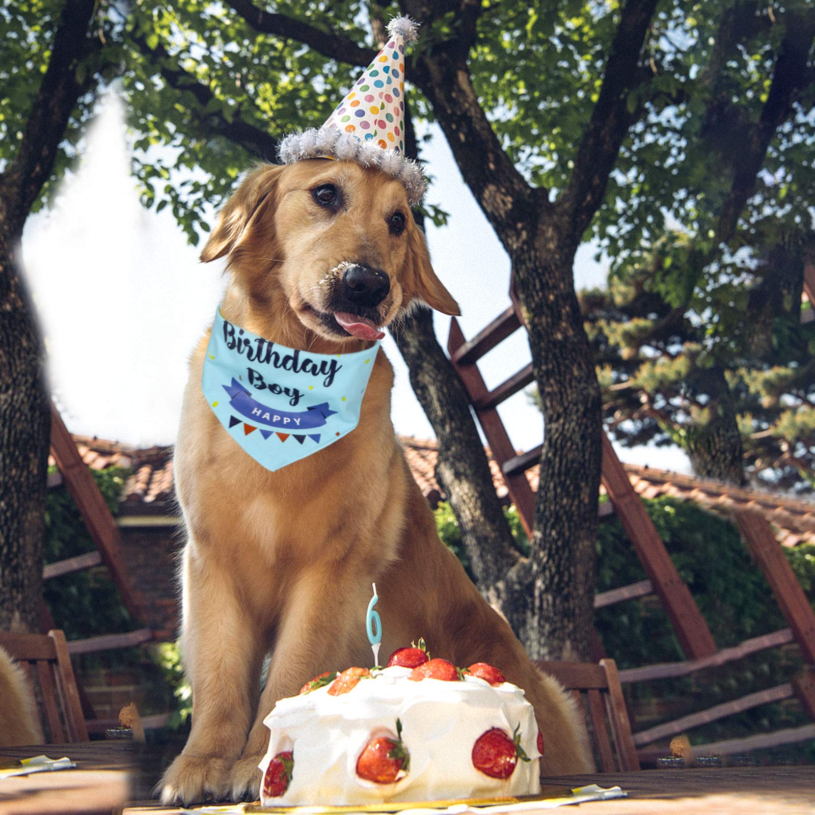 Hunde-Geburtstags-Halstuch – Doppellagige Baumwolle, Für Kleine Bis Große Hunde, Blau, Mit Happy Birthday-Aufdruck