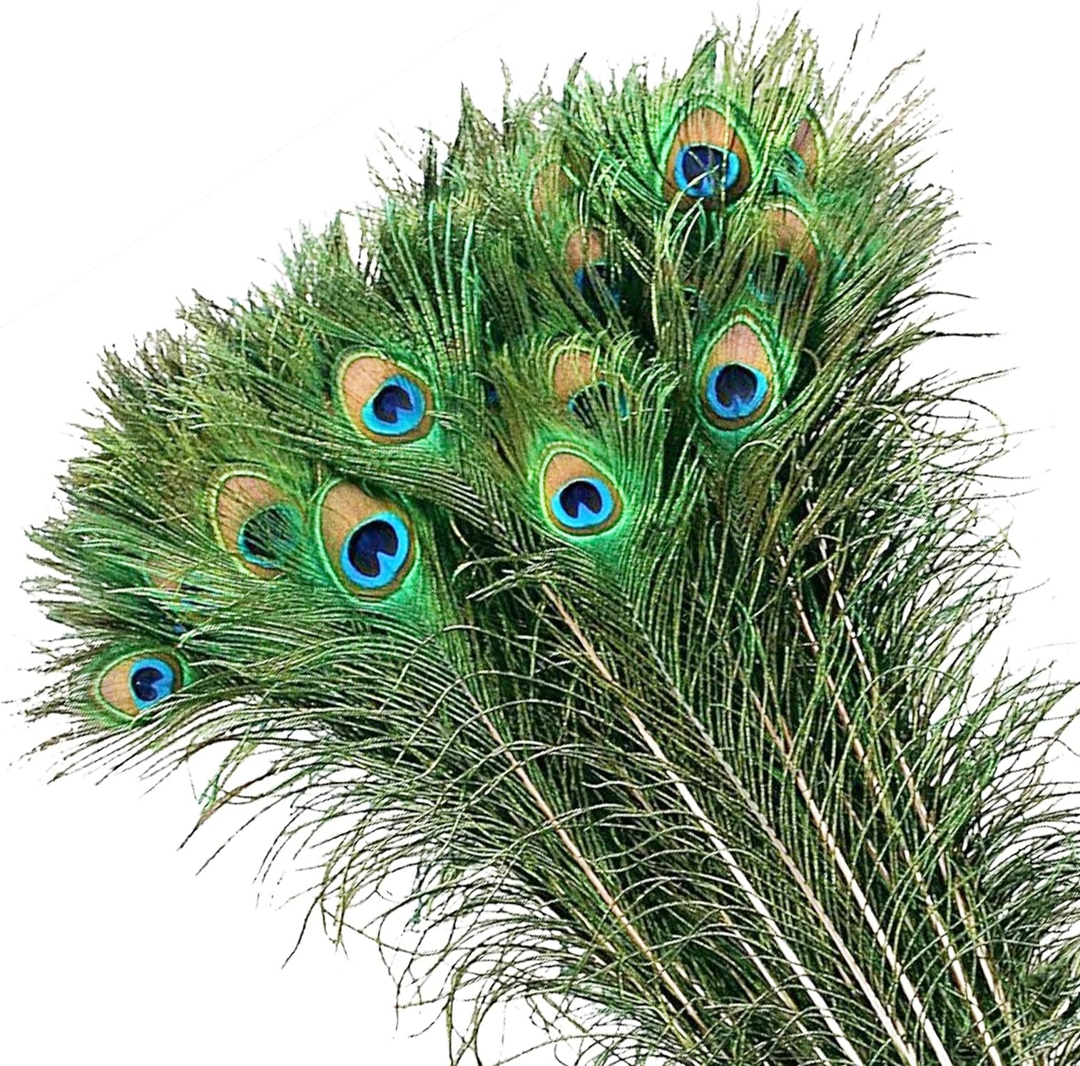 MWOOT 50Pcs Peacock Feathers, Green Peacock Eye Feathers for DIY Crafts Art, Peacock Tail Feathers for Carnival Revelry Masquerade Costume Wedding Holiday Party Decoration (28-32CM)