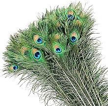 MWOOT 50Pcs Peacock Feathers, Green Peacock Eye Feathers for DIY Crafts Art, Peacock Tail Feathers for Carnival Revelry Masquerade Costume Wedding Holiday Party Decoration (28-32CM)