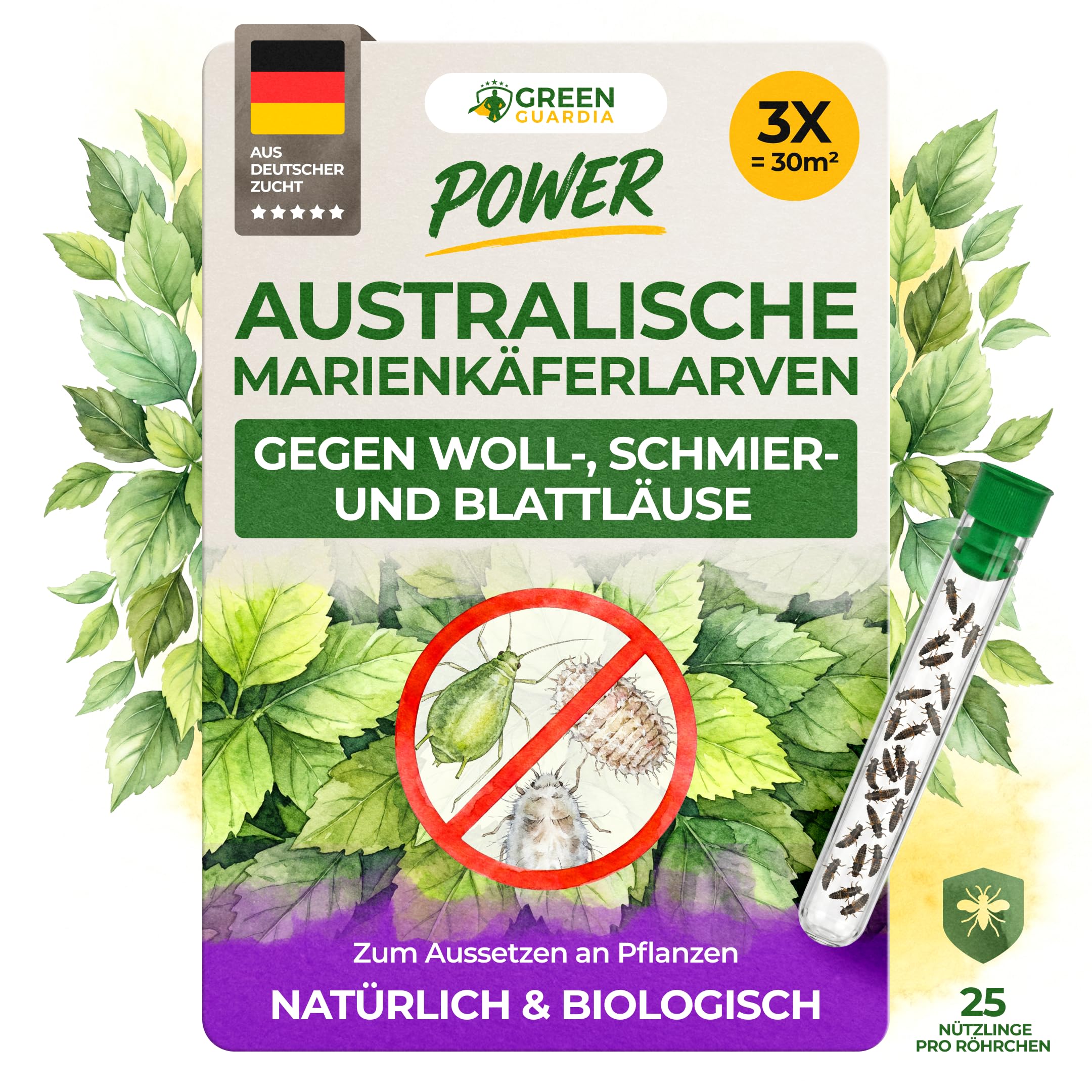 GREEN GUARDIA Australische Marienkäfer Larven gegen Wollläuse, Schmierläuse & Blattläuse – 3X Röhrchen für 30 m² – Natürliche Schädlingsbekämpfung ohne Chemie