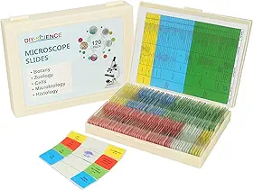 Conjunto Com 120 Lâminas De Microscópio Espécimes, Preparadas Para Laboratório Crianças E Adultos, Animais/Plantas/Micróbios/Tecidos/Células, Kit Biologia-Tronco Educação Domiciliar, Lab