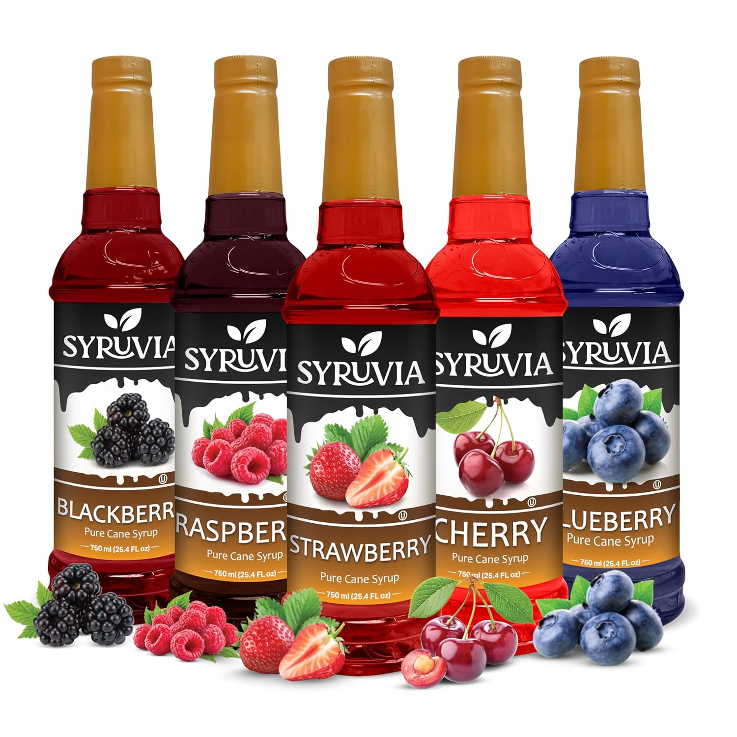 Syruvia Summer Fruit Syrup Variety Pack – Strawberry, Blackberry, Raspberry, Cherry, Mango & Peach – 25.4 fl oz Bottles – Perfect for Summer Sodas, Lemonades, Iced Teas, and Cocktails! (6-Pack)