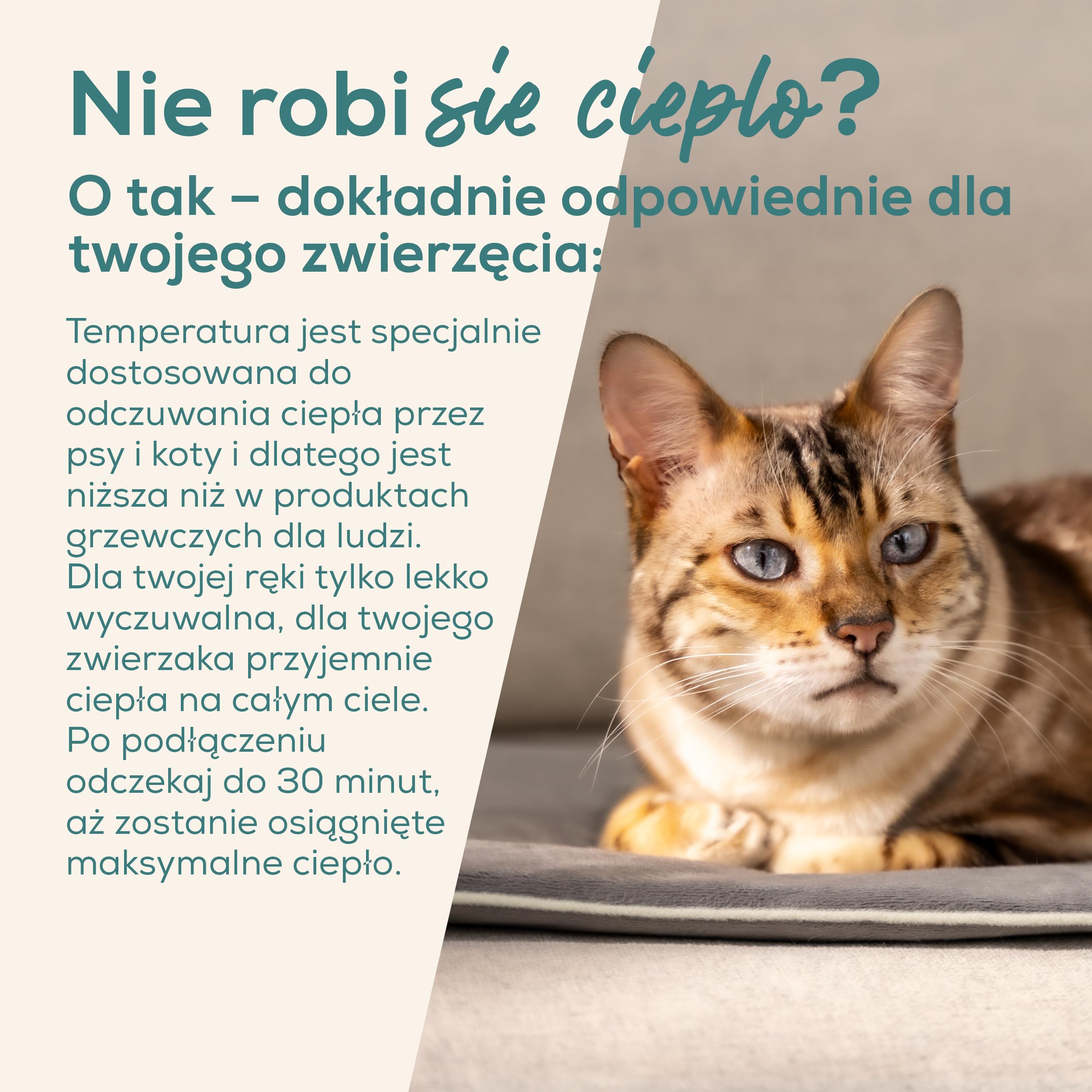Beurer Love Your Pet Mata rozgrzewająca S „Lilli” z serii dla psów i kotów, z timerem, poduszka elektryczna, możliwość prania w temperaturze 30°C, odporna na zadrapania i wodoszczelna, 41 x 34 cm