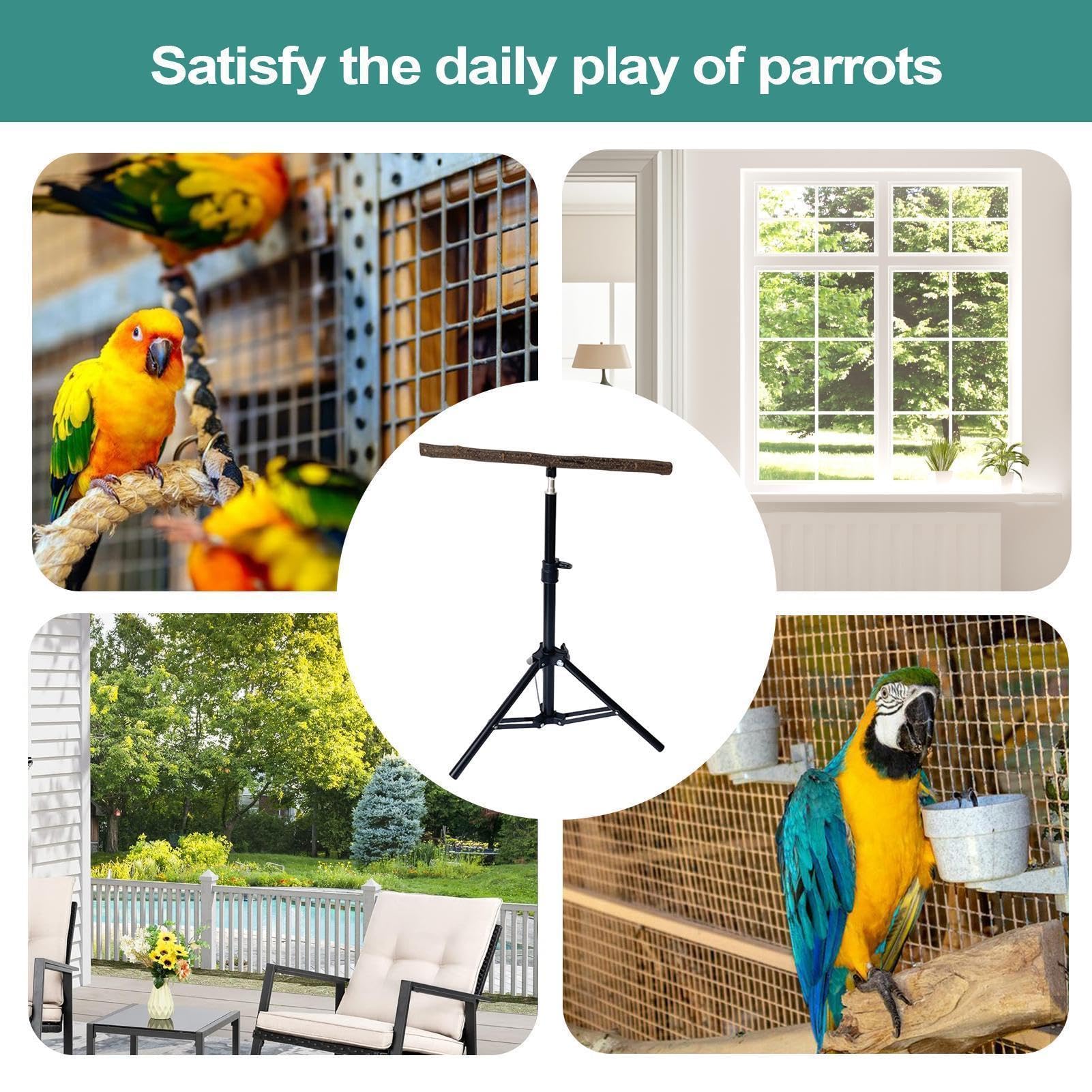Soporte Para Pájaros: Hábitat De Perca Con Base De Trípode De 60 Cm, Estructura De Juego De Entrenamiento Compacta, Estación De Ejercicio Portátil Para Pájaros | Kit De Configuración De Actividades Pa