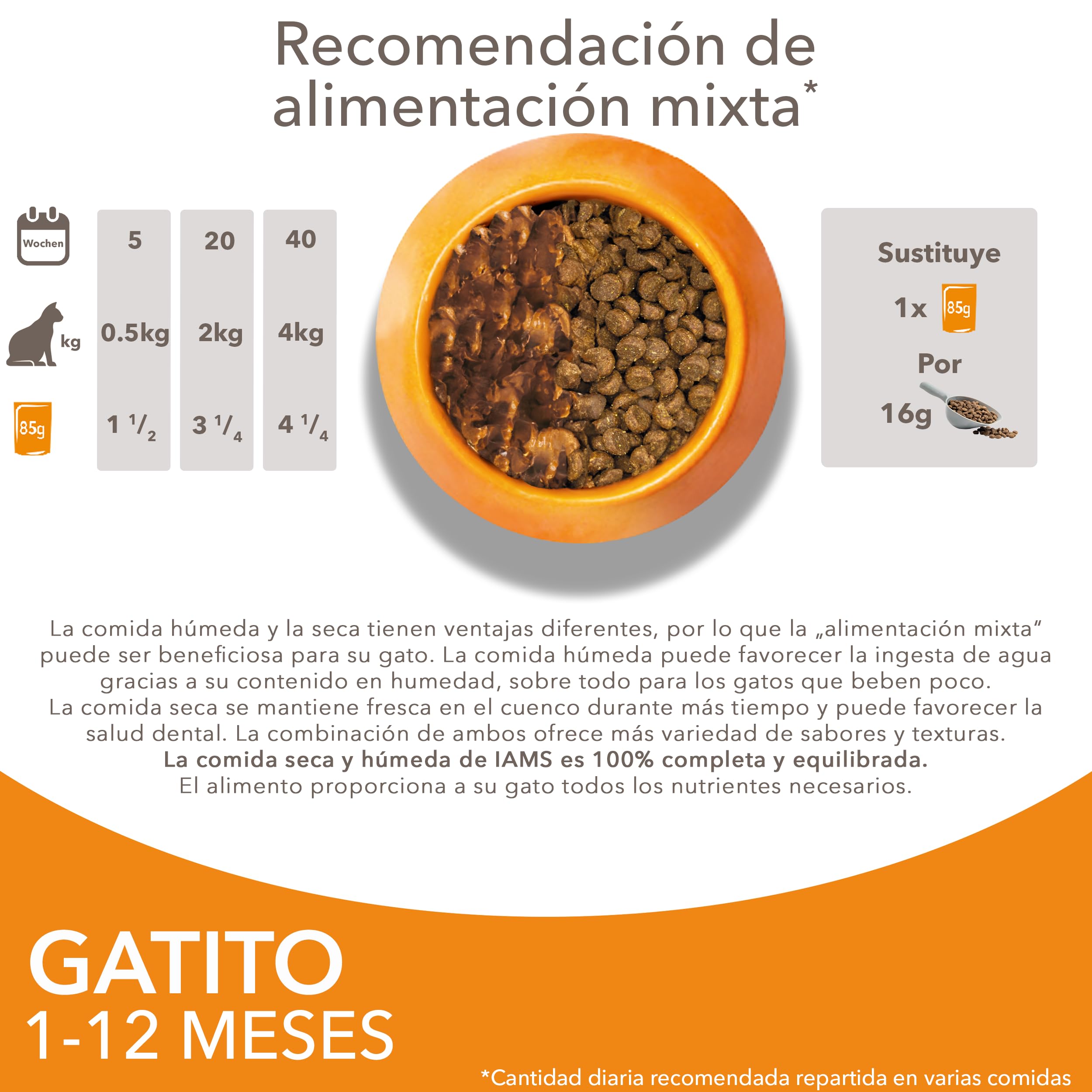 IAMS Advanced Nutrition Alimento húmedo en Salsa, para Gatitos con Pollo, 12 x 85g