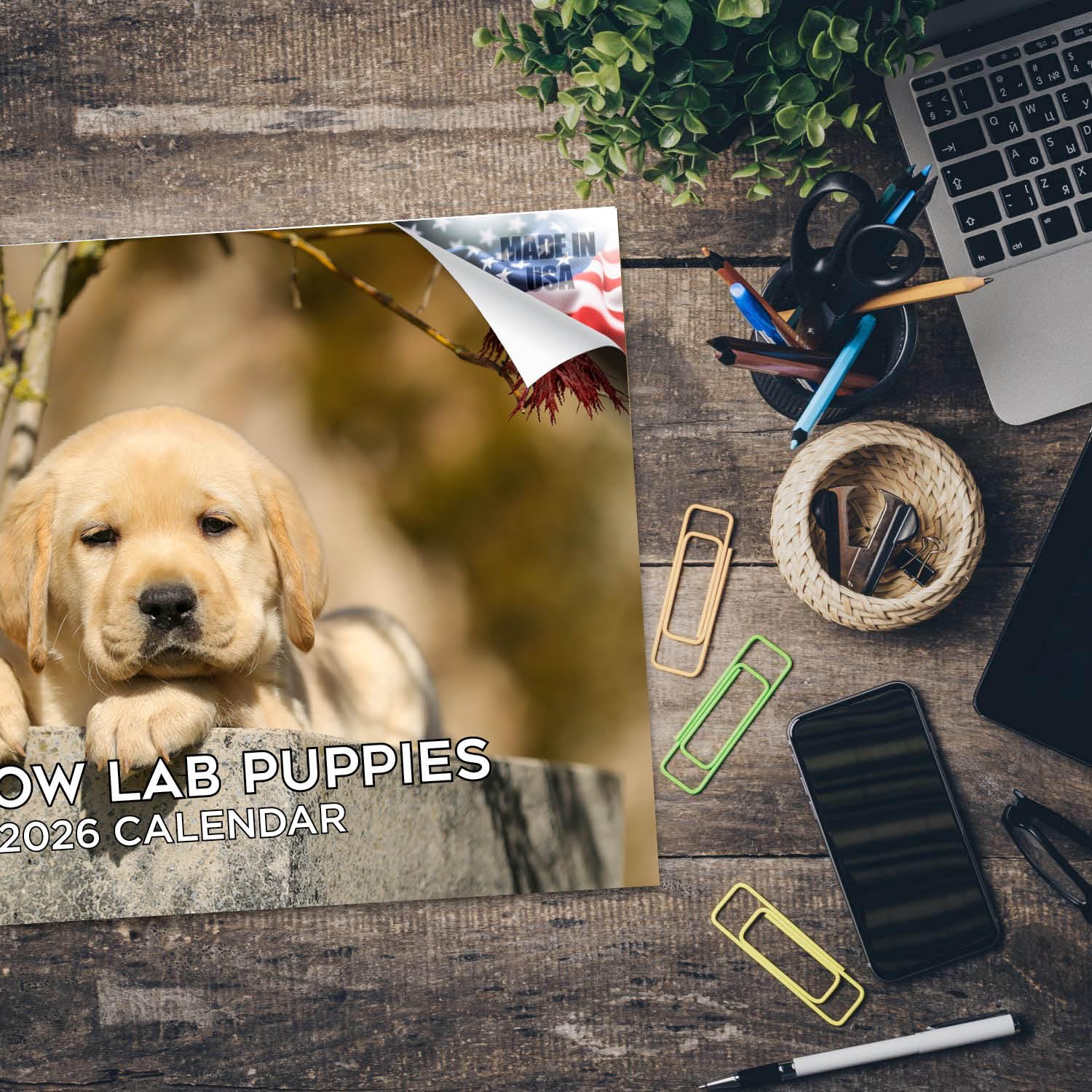 Calendario 2024 2025 de cachorros de labrador amarillo, calendario mensual de pared de raza de perro, 12 x 18 pulgadas, abierto, papel grueso que no se corre, regalo, planificador académico para