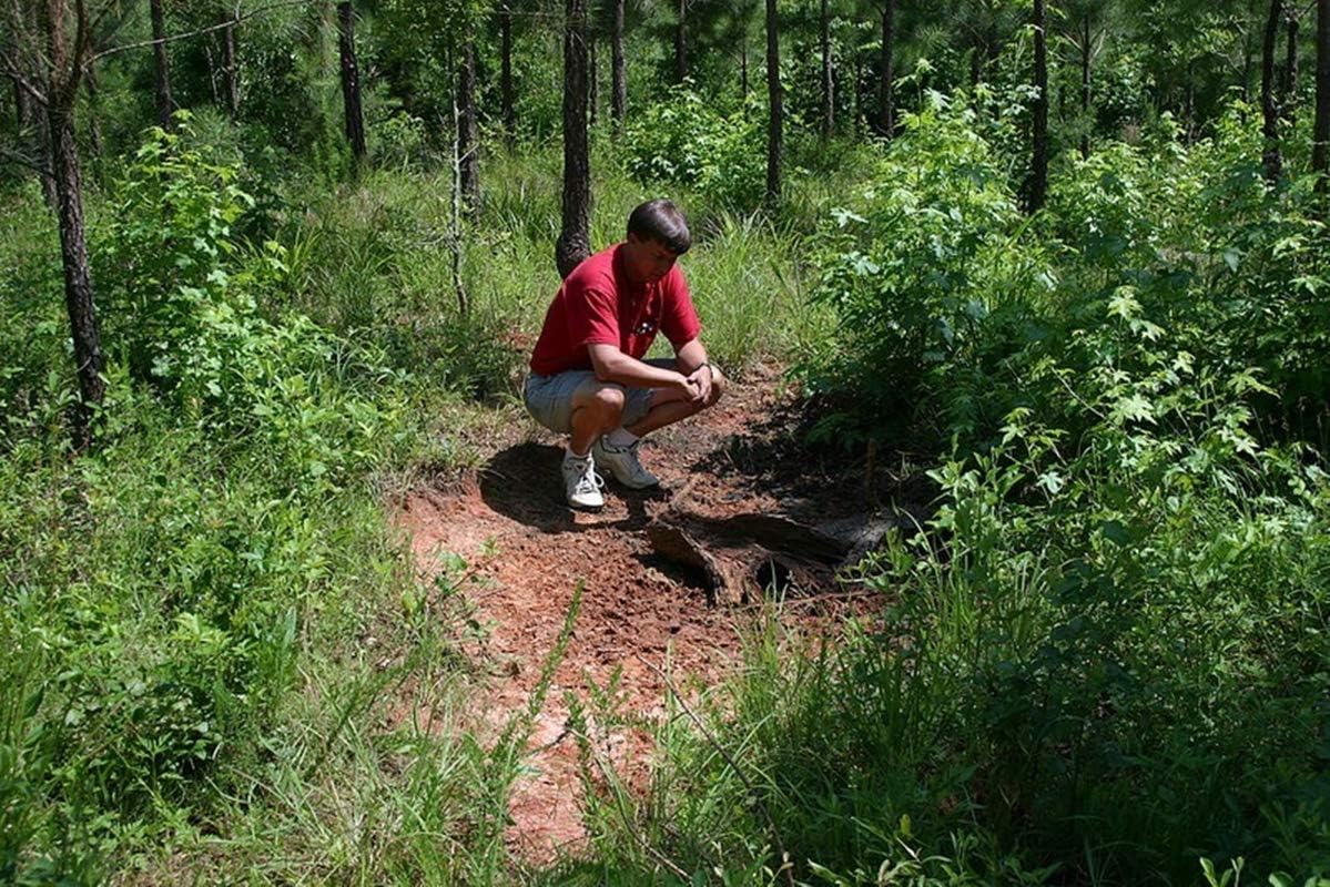 Buy Whitetail Institute 3006 Mineral and Vitamin Supplement for Deer