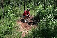 Vista 4 de Whitetail Institute Suplemento mineral y vitamínico 30-06 para parcelas de alimentos de ciervos – Proporciona nutrición para la construcción