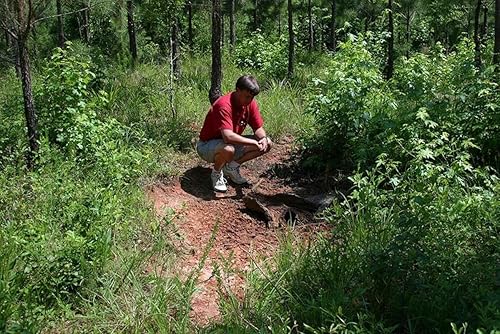 Miniatura 4 de Whitetail Institute Suplemento mineral y vitamínico 30-06 para parcelas de alimentos de ciervos  Proporciona nutrición para la construcción de