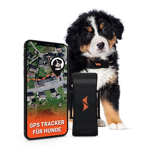 PAJ GPS Tracker for dogs - 4G - walking alarms + worldwide live tracking - battery saving mode near router - dog recall - with illuminated LEDs - waterproof (IP67) - fits any collar - black