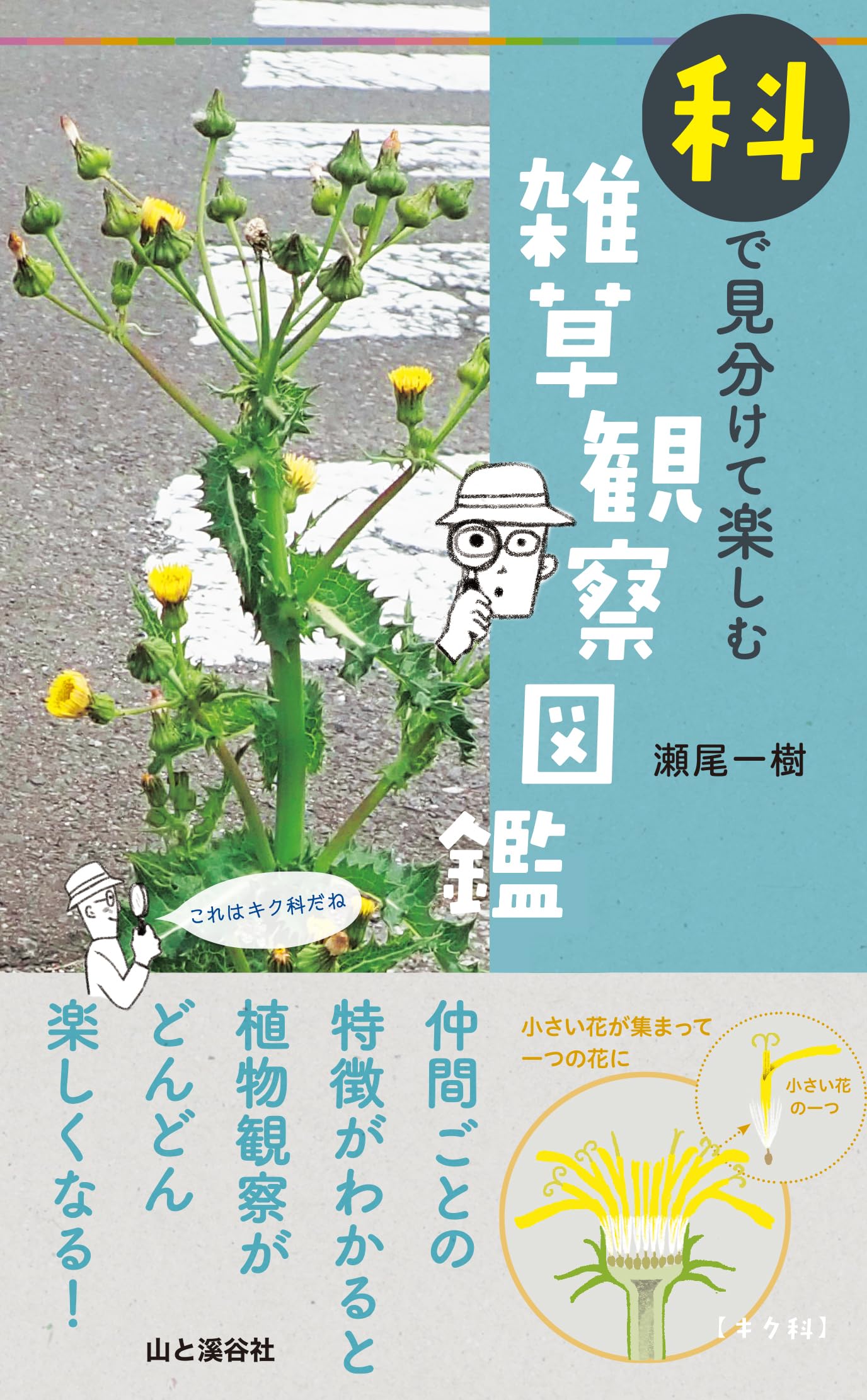 科で見分けて楽しむ 雑草観察図鑑 | 瀬尾 一樹 |本 | 通販 | Amazon