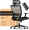 FLEXISPOT Ergonomic Office Chair With Hanger and EXTRA WHEELS Mesh Desk Chair With Height Adjustable Seat Headrest Armrest Lumbar Support and Caster Wheels Dark Black