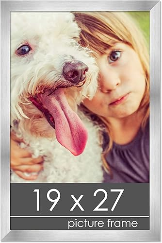 Miniatura 191 de Marco de 28 x 36 pulgadas de madera de peltre plateado con plexiglás acrílico UV, parte trasera de tablero de espuma y accesorios incluidos