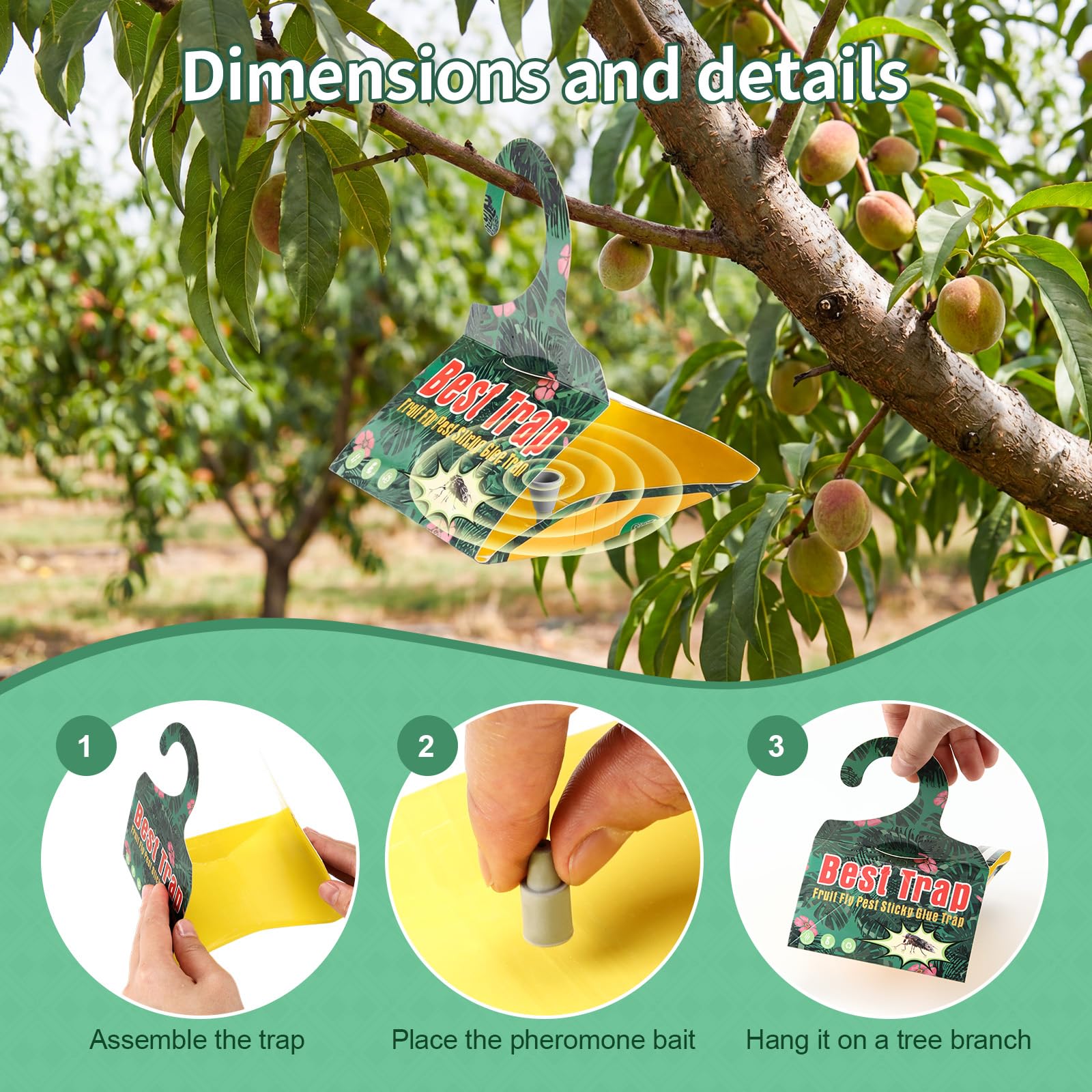Paquete de 18 trampas para polillas de manzano con señuelos de feromonas, adhesivo triangular para colgar manzanos, incluye 18 trampas y 18 señuelos, para uso en huertos y jardines