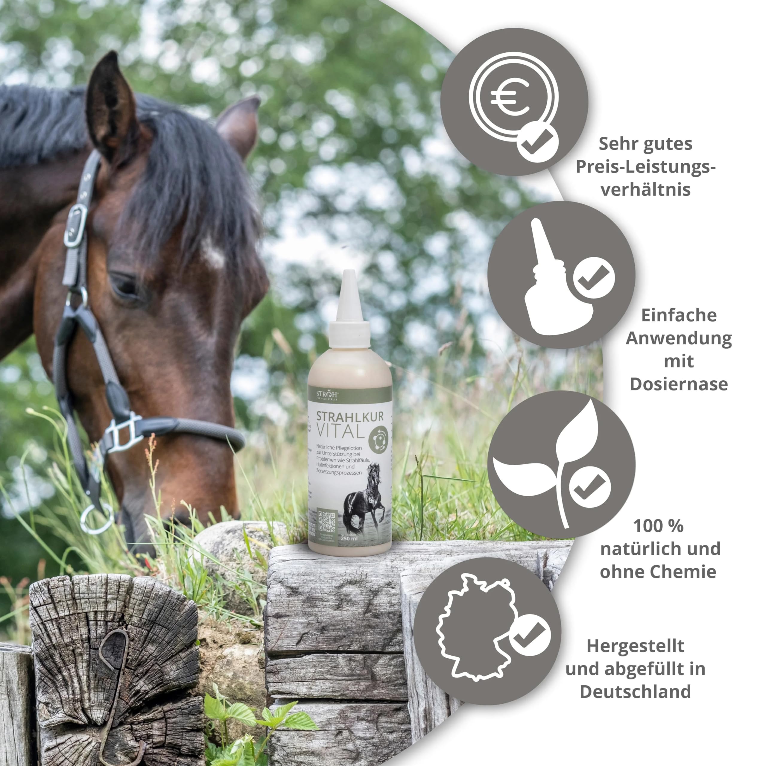 STRÖH Strahlkur Vital Pferd (250ml) • Pflegelotion für Pferde bei Strahlfäule, Hufpilz & Hufinfektion • Natürliche Hufpflege für Pferde mit Zink, Blutwurz, Propolis & mehr