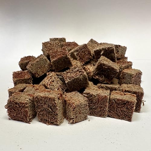 Miniatura 2 de Gusanos negros liofilizados con aumento de color, ideal para acuarios tropicales y marinos, alto contenido de proteínas, sin conservantes, reemplazo