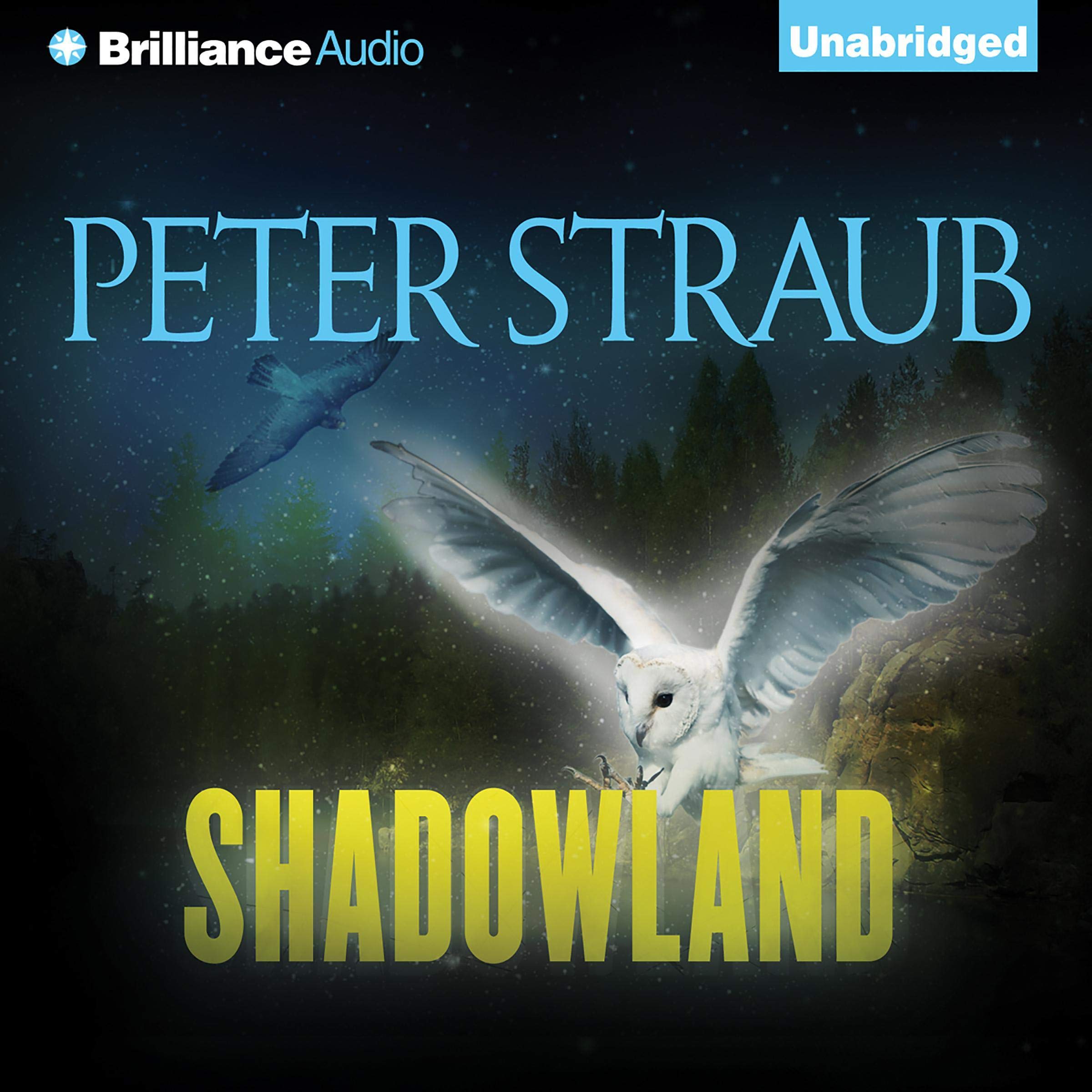 Cover art for Shadowland