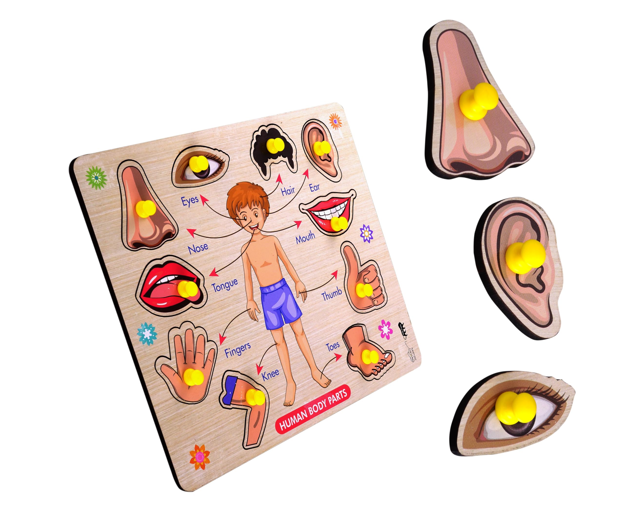 XH TOYS Pre-School Body Part Wooden Puzzle Wooden 2 3 4 5 6 Year Old Boys Girls Toys For Kids 3 + Jigsaw Puzzles For Adults Baby Learning Toys Educational Toys (B0CMV1PRYW) Amazon Price History, Amazon Price Tracker