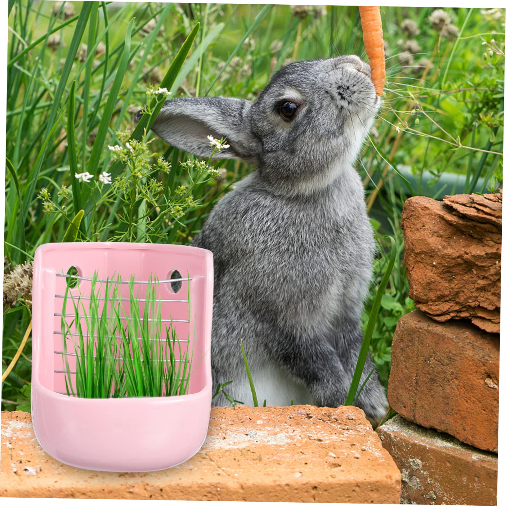 Mangiatoia in Ceramica Fissabile per Conigli e Cavie Rosa | Installazione Semplice, Mantiene Cibo Pulito e Asciutto, Adatta a Piccoli Animali Domestici