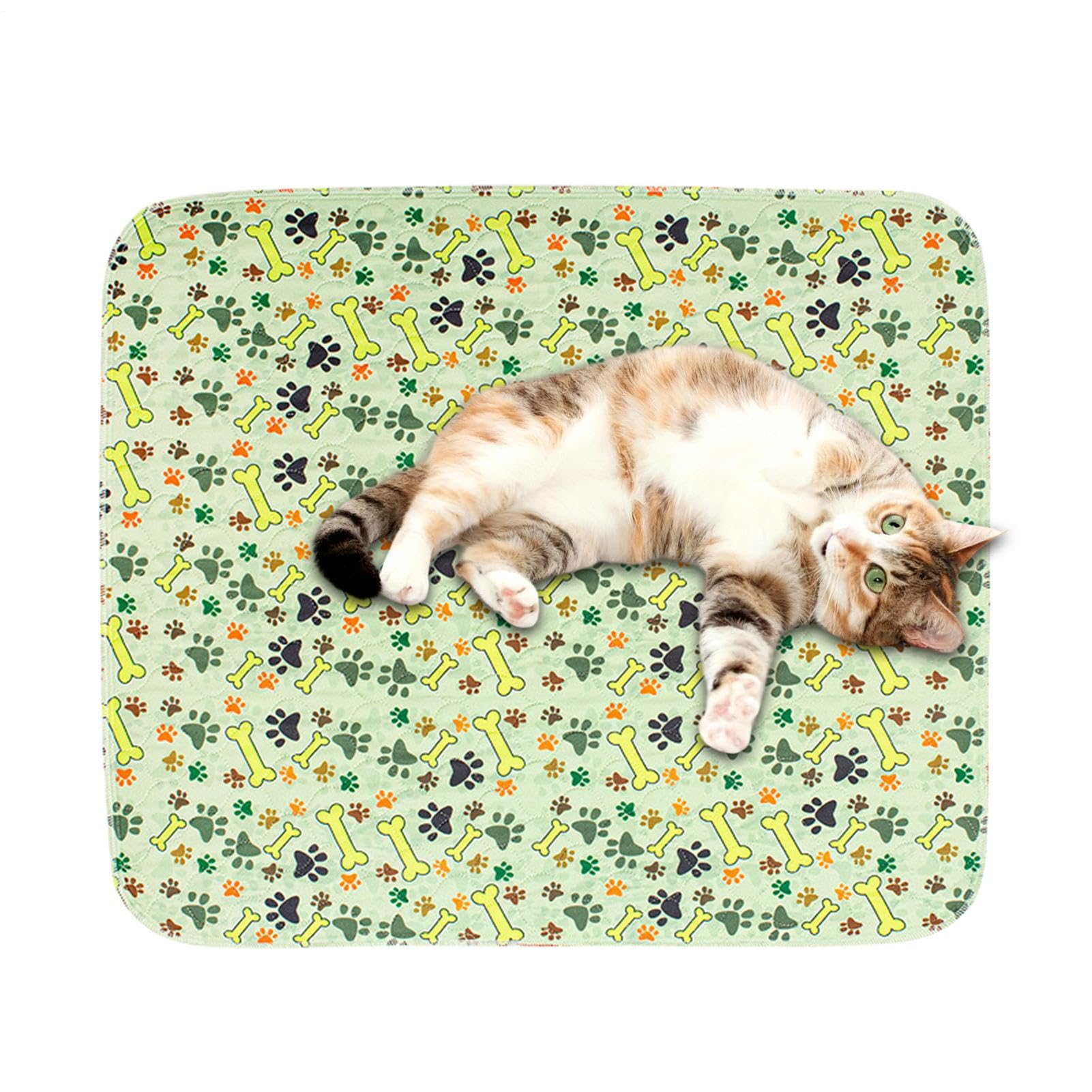 Tapis pour chiot anti-fuite ultra absorbant et réutilisable