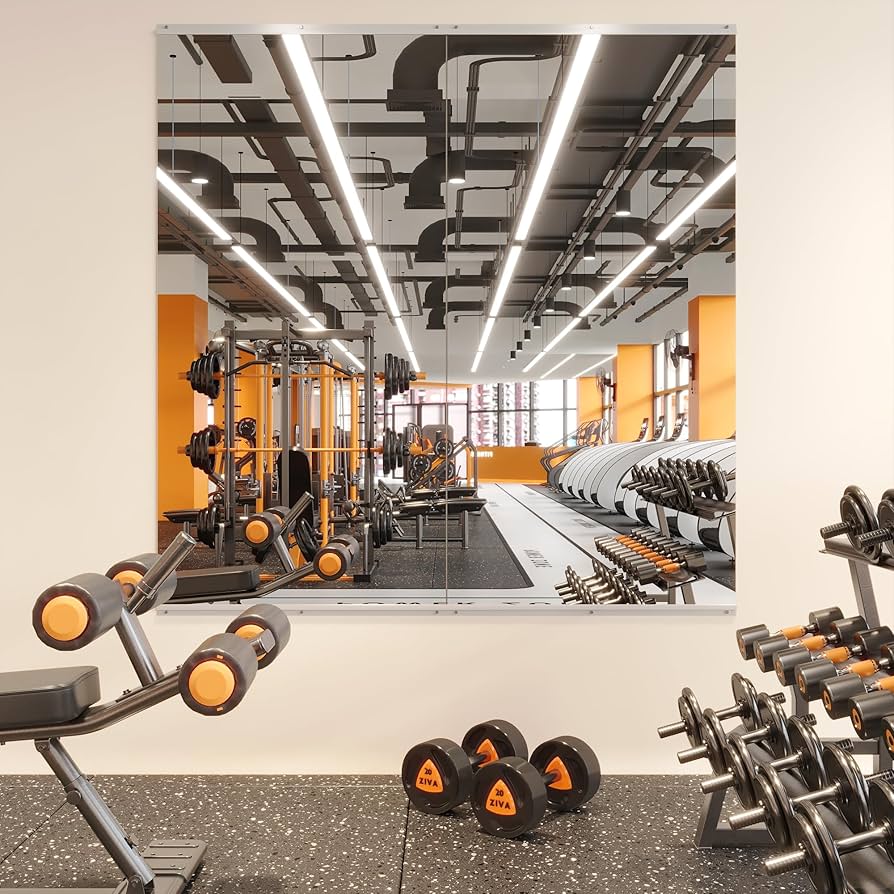 For Home Gym Mirrors Wall Mirror Exercise Home Gym Mirror Cost Of