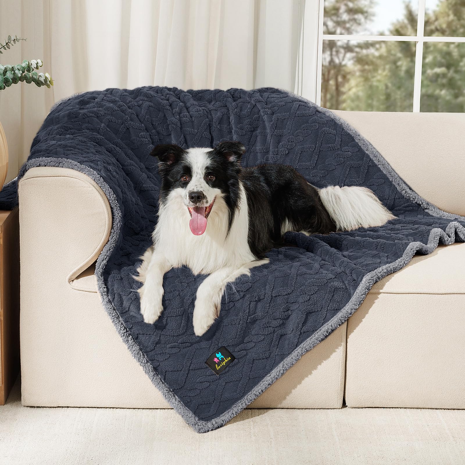 Waterproof Pet Blanket, Liquid Pee Proof Dog Blanket for Sofa Bed Couch, Reversible Sherpa Fleece Furniture Protector Cover for Small Medium Large Dogs Cats,Dark Grey Large(65" x 57") — image 1