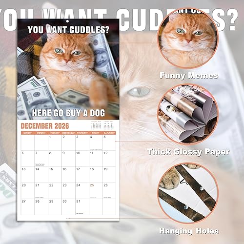 Miniatura 5 de Calendario de pared 2024-2025, calendario divertido de gatos 2024-2025, abril de 2024 a junio de 2025, calendario de 15 meses, regalo de broma