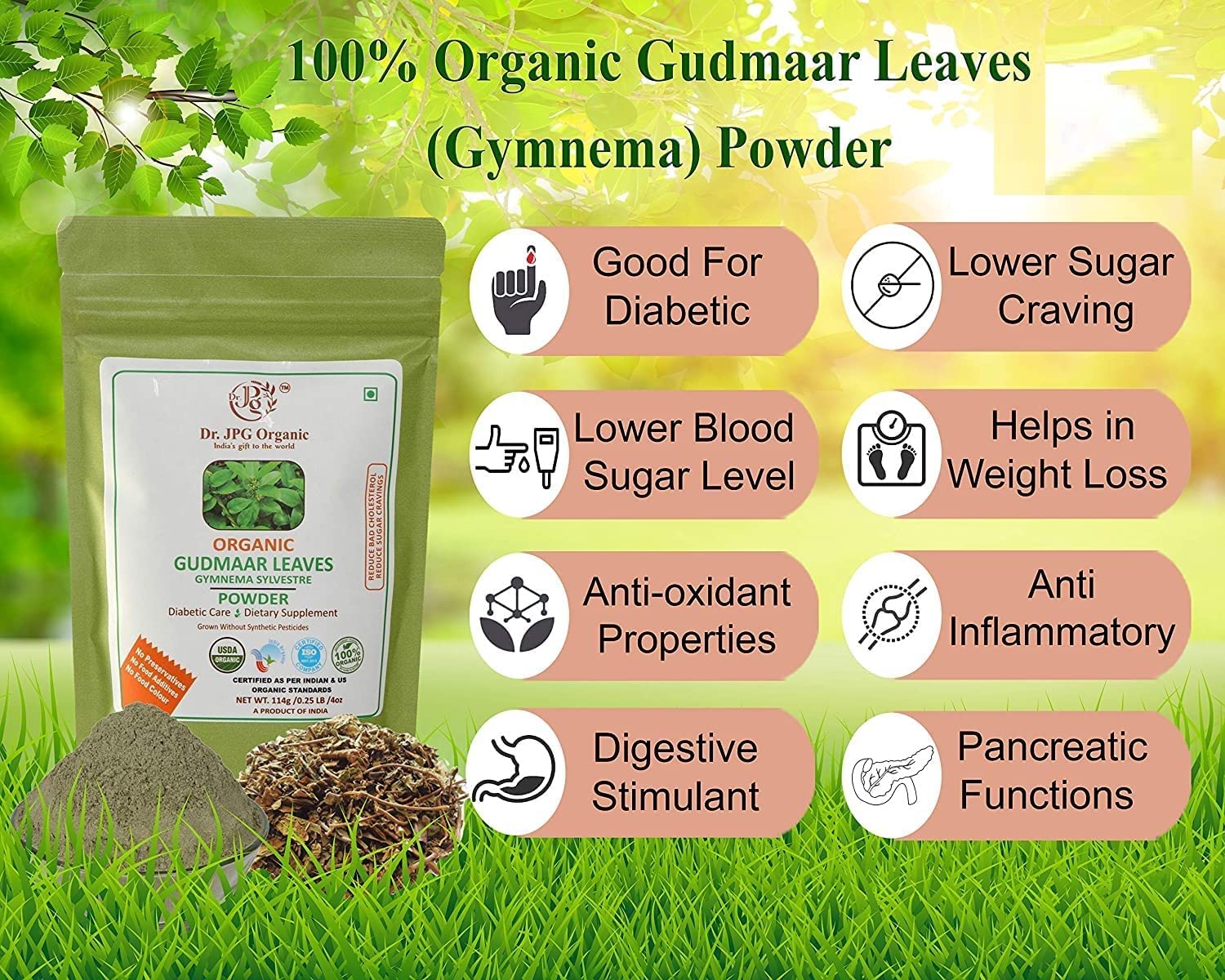 Poudre de feuilles de gudmar - Pour les mauvaises envies de cholestérol et de sucre - 228 g - Gymnema Sylvestre-India Organic Certified - 100 % bio - 114 g x 228 g