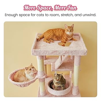 置物 maocat Amazon.com: MyZoo Avenue | Wall-Mounted Cat Walkway
